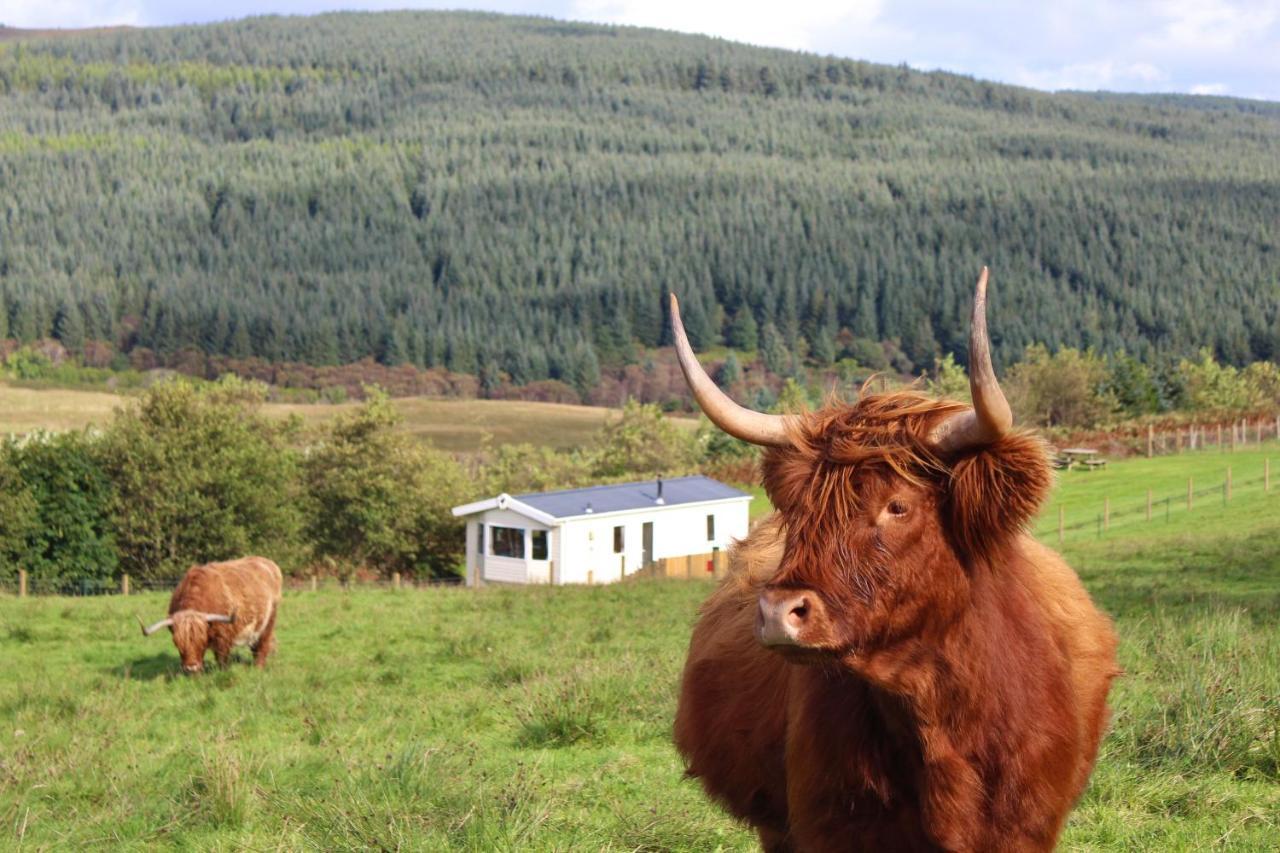 Crannich Holiday Caravans Killiechronan Dış mekan fotoğraf